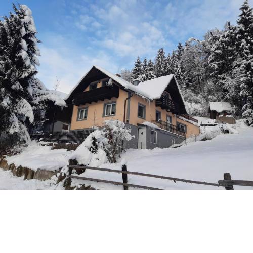 Haus Pinter in Schladming - Dachstein Region