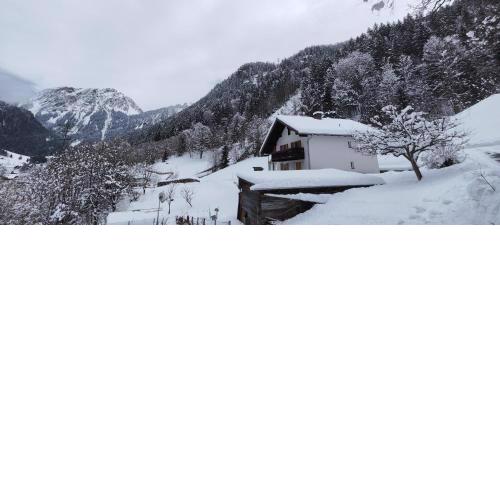 Haus Stehbock
