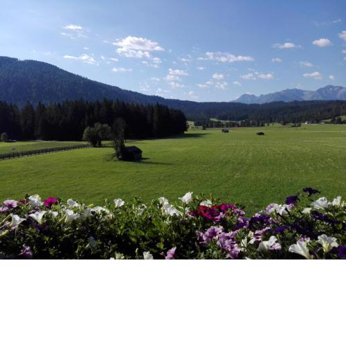Haus Witting