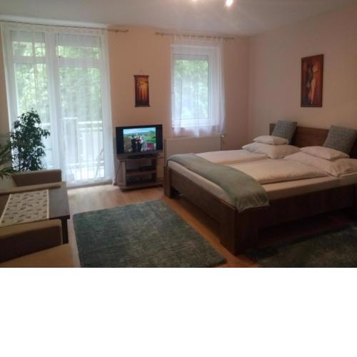 Hévíz Lake Apartman