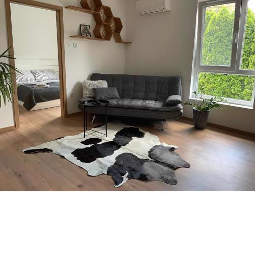 Hexagon Apartman Szeged