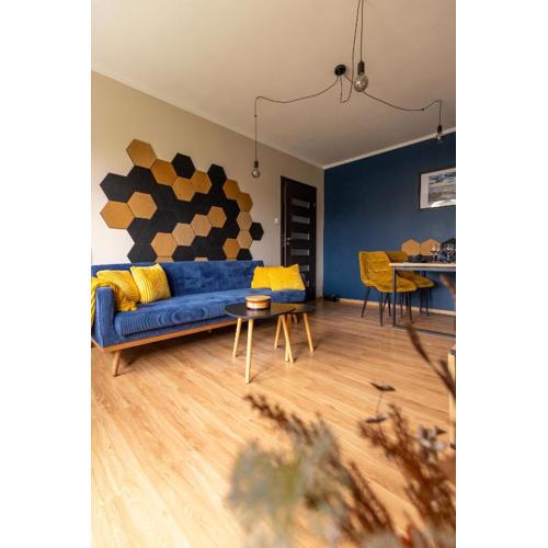 Hexagon Studio Comfort