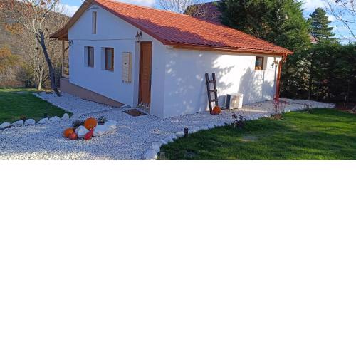 Hilltop Cottage in Szentendre, mountain view, terrace, garden