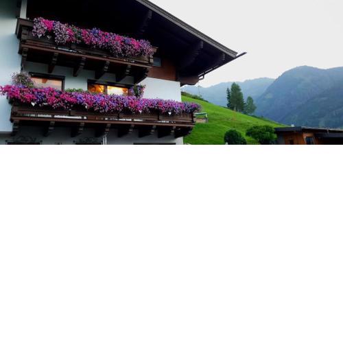 Hinterreithlehen - Ferienwohnung am Bauernhof