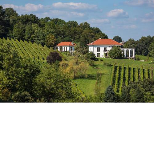 Hirschmugl Domaene Seggau GmbH