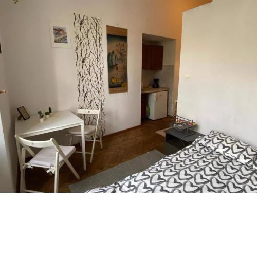 Historic Apartment