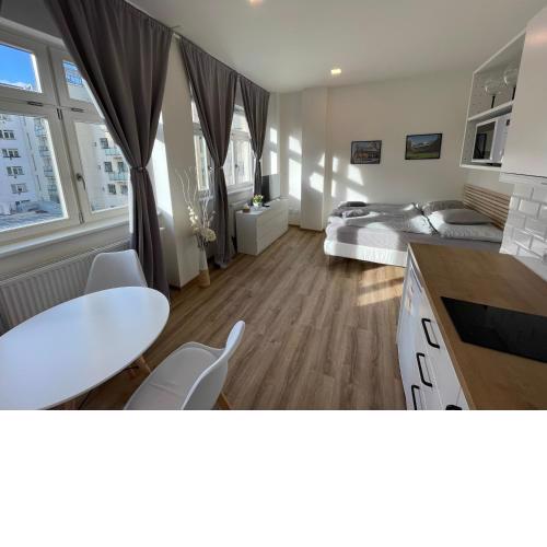 Historic Center Brno Apartment