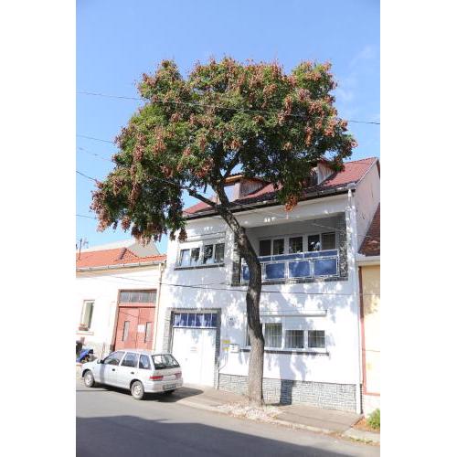 Hív-Lak Apartman