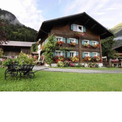 Holiday apartment in Sankt Gallenkirch, near ski lift