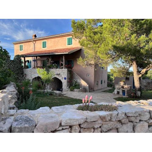 Holiday Apartment