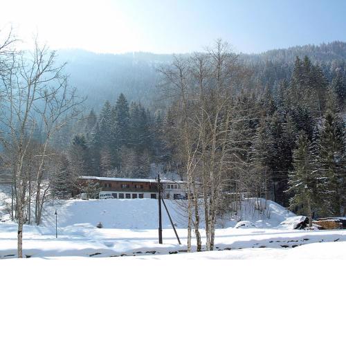 Holiday Home Alpenchalet Silbertal by Interhome