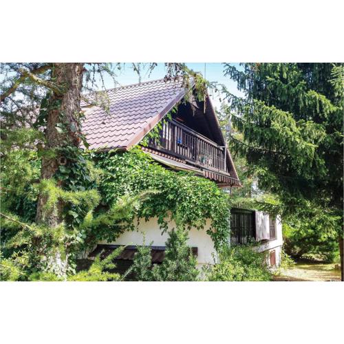 Holiday Home Dziemiany Radun