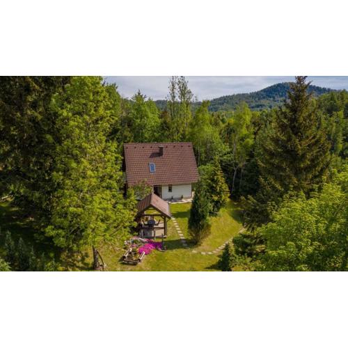 Holiday home in Delnice - Gorski Kotar 43959