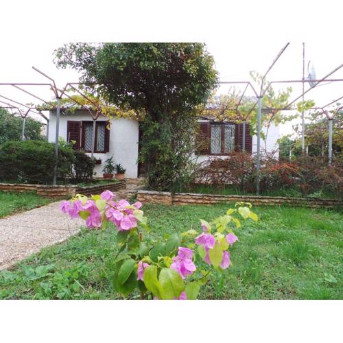 Holiday home in Fazana/Istrien 11242