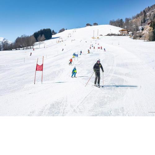 Holiday home in Niedernsill near ski area