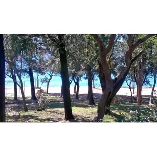 Holiday home in Novi Vinodolski 27132