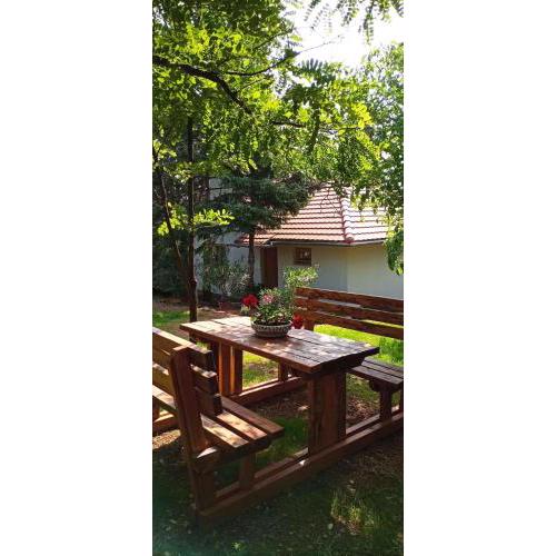 Holiday home in Pakozd - Velence-See 43968