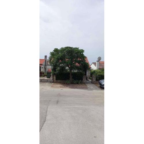 Holiday home in Petrcane - Zadar Riviera 45313