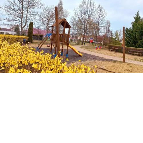 Holiday home in Zamardi - Balaton 53551