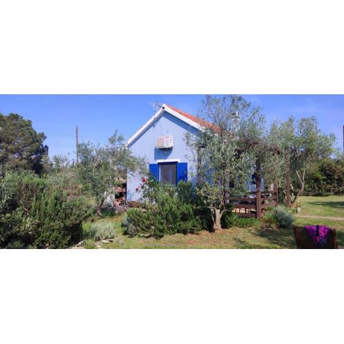 Holiday home Mola