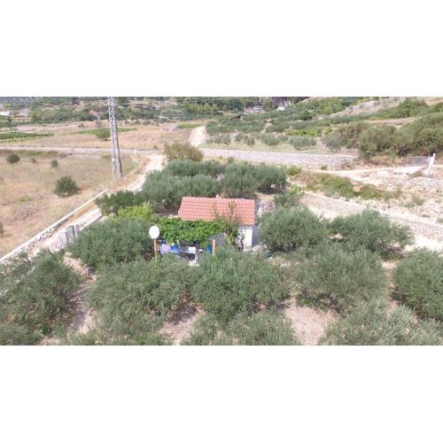 Holiday home Oliva cottage