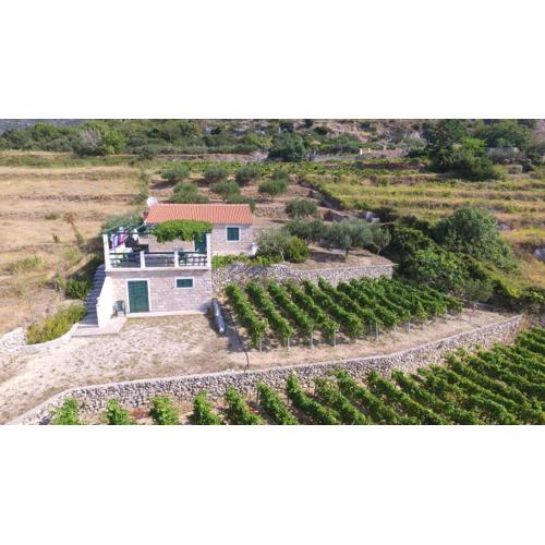 Holiday Home Vineyard house