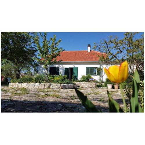 Holiday home \