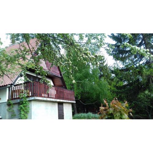 Holiday house Nature