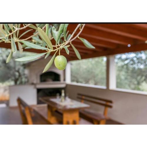 HOLIDAY HOUSE Ose