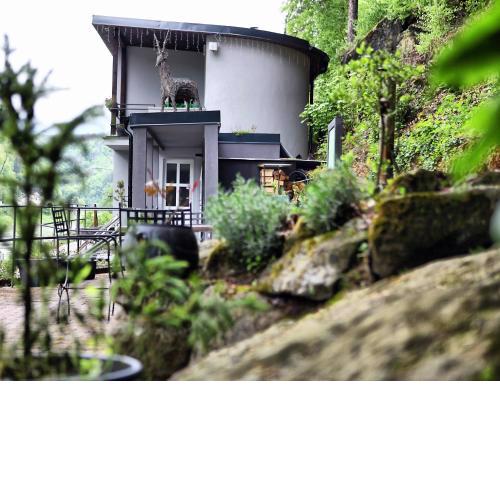 Holiday House Panda