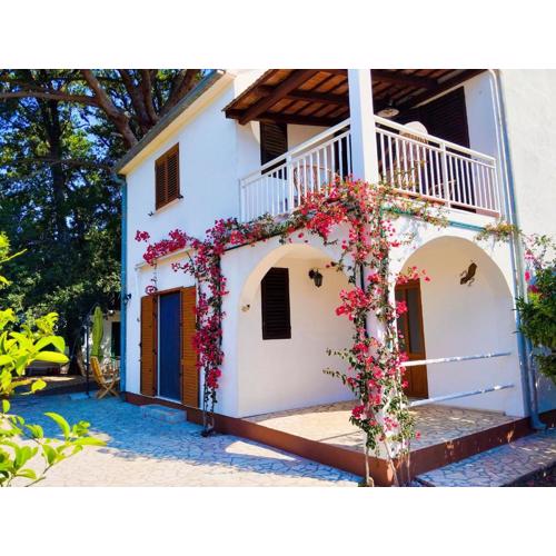 Holiday house Pinus Pinea