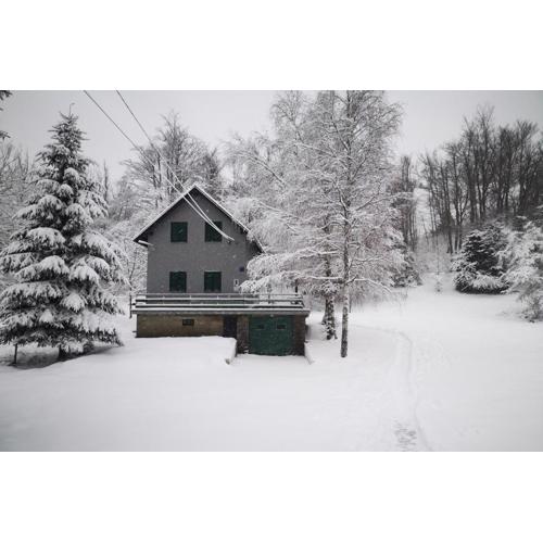 Holiday house with a parking space Fuzine, Gorski kotar - 20518