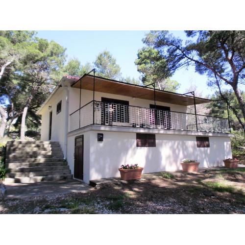 Holiday house with a parking space Sumartin, Brac - 12047