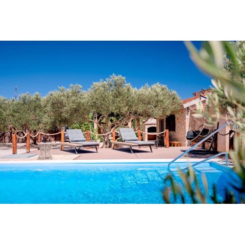 Holliday house Olea - Stari Grad - Island Hvar