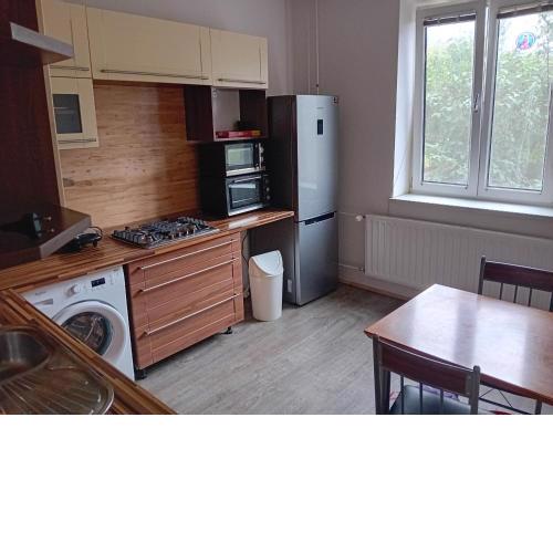 Holub apartment in city centrum