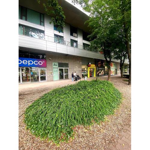 HomeComfort Apartament Adonis