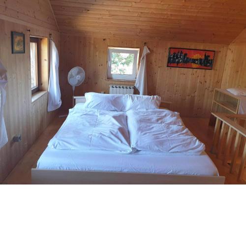 Homestay Sleepy Traveler