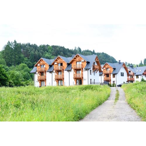 Homole Apartament LUX