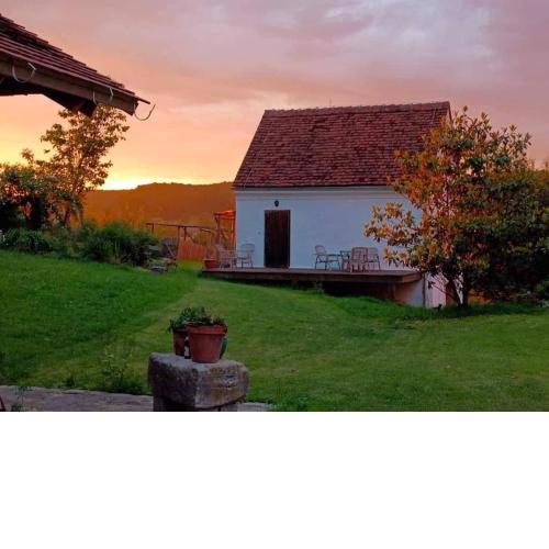 Horse farm in East Styriof in der Oststeiermark