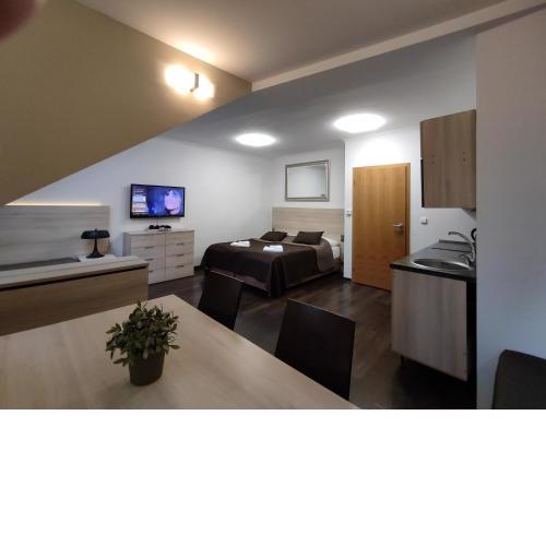 Horský Apartmán C303 v Anenském údolí se saunovým wellness v ceně pobytu, O2 TV a stabilní rychlou WIFI - by Relax Harrachov