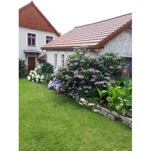 Hortensjowe Wzgórze