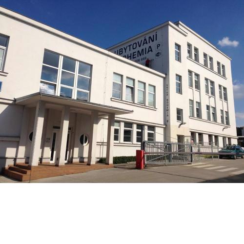 Hostel BOHEMIA