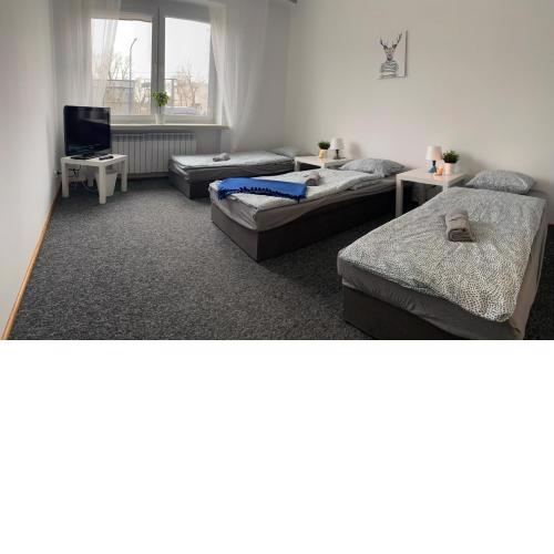 Hostel Czecha