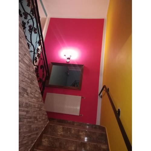 Hostel Los Amigos