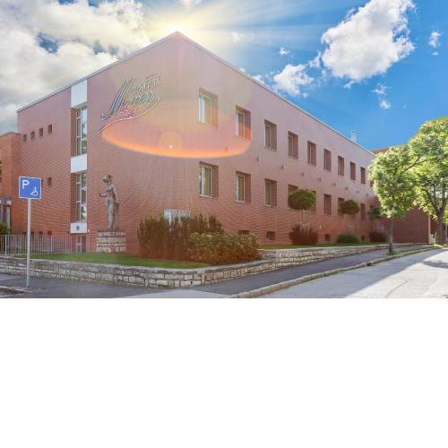 Hostel Mayer Superior Veszprém