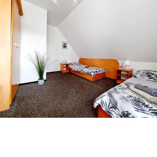Hostel PRIMAX