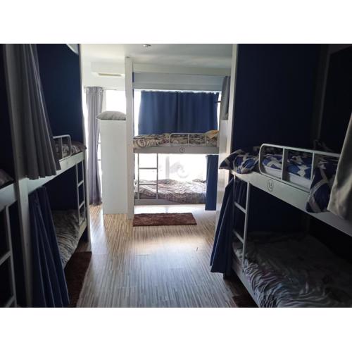 Hostel Renato