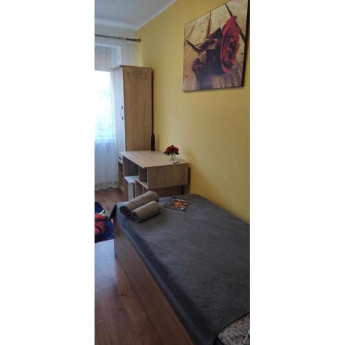 HOSTEL Róża