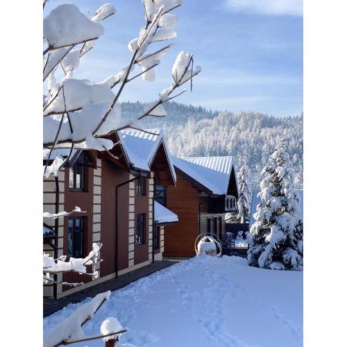Hostynnyy Dvir Apartament Hotel & SPA