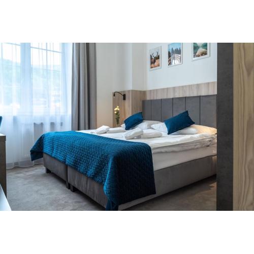 Hotel Alpin